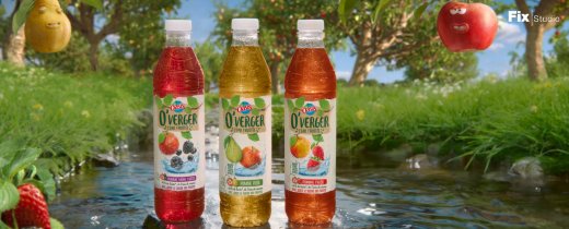 images_site_web_oasis_perroquet