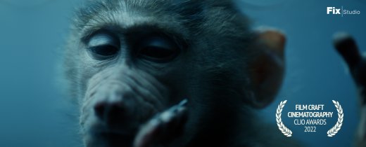 20220509_images_site_web