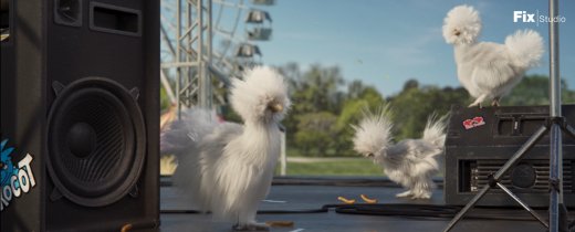 230125_silkies_enceinte