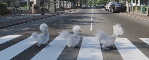 230125_silkies_passage_pieton