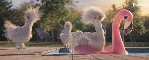 230125_silkies_piscine