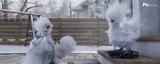 231213_silkies_hiver_voiture