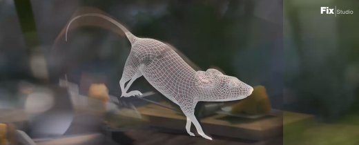 images_site_web_breakdown_dcon