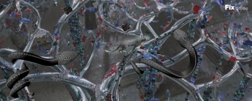 images_site_web_breakdown_odysee_cartier